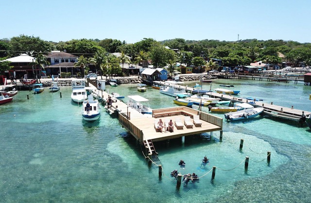Splash Inn Dive Resort & Villas