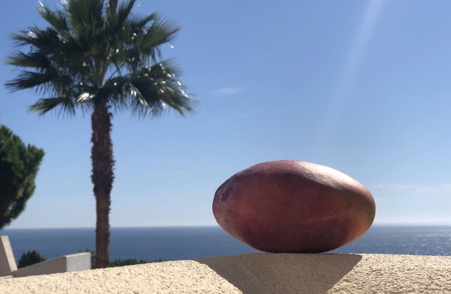 Espléndido apartamento. acondicionado con vistas al mar terraza, piscina y parking con vigilancia.