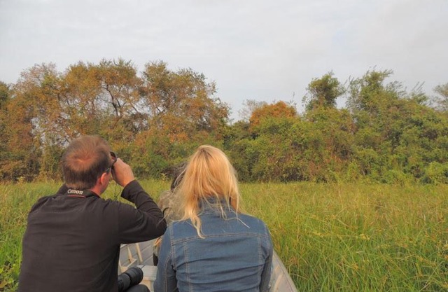 Spot Jaguar Pantanal South Lodgen wild Jaguar Tour