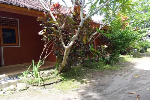 SPOT ON 93640 Dannis Homestay Near Musholla Al Istiqomah Terawangan