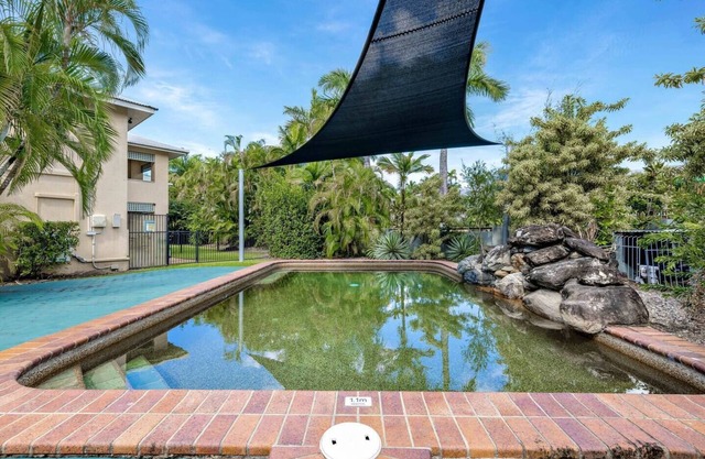 Springfield Sunshine A Tropical Poolside Escape