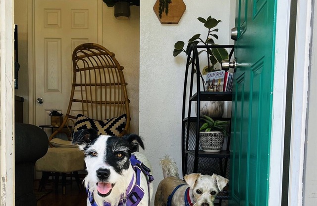 Green Door Cottage-Dog Friendly-3 cuadras de la playa!