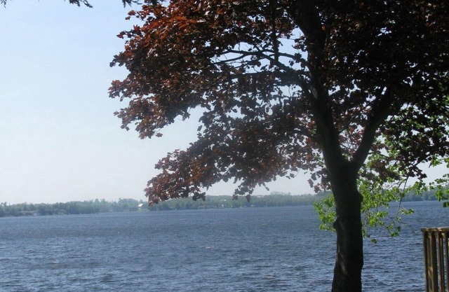 Spruce Cottage en Silo Cottages - Fenelon Falls