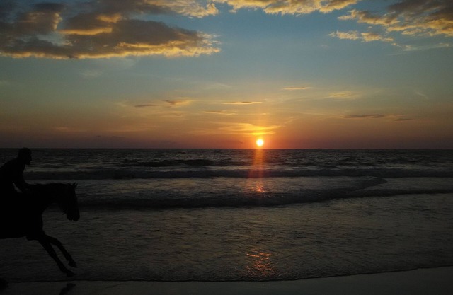SS Beach Resort