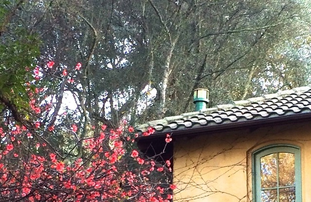 ST. HELENA ROMÁNTICA VILLA TOSCANA