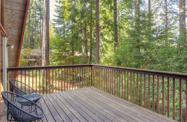 Star Nest | Secluded Forest Property