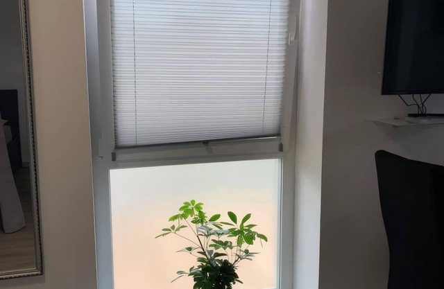 Star Vacation Apartment - Apartment C