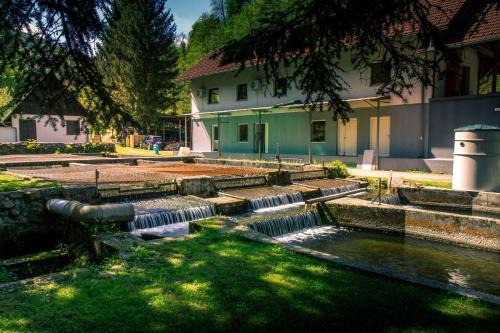 Stara ribogojnica & Pohorska postrv