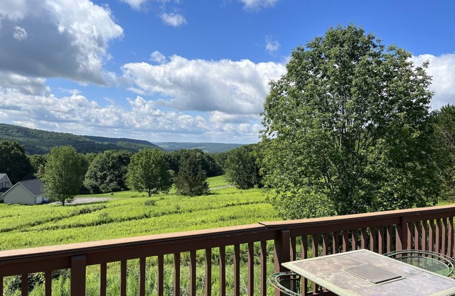 Stargazer - Great views, convenient to CDP
