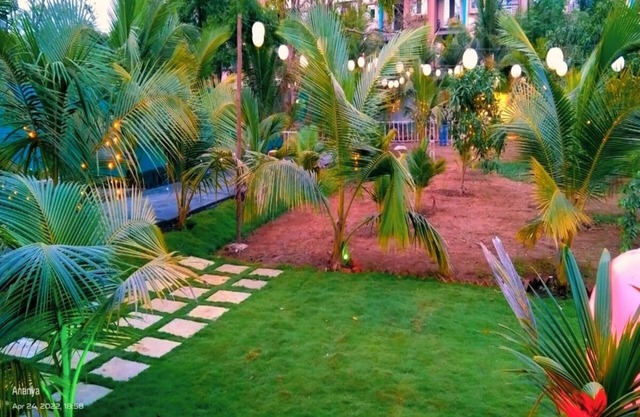 Starlight Resort