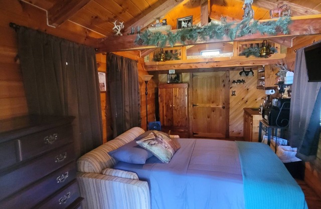 Starry skys cabin