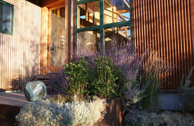 Stars and Serenity, Connection or Off Grid, welcome to Mission Meadows Retreat!
