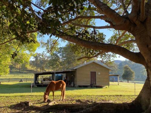 Stay at the Barn. Immerse yourself in nature.