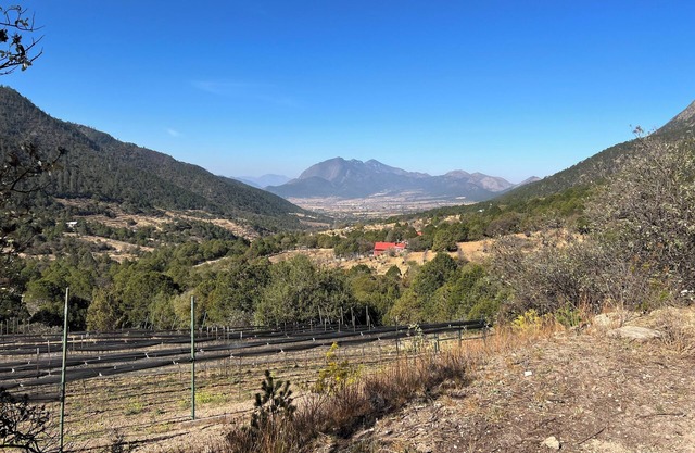 Hospédate en un RV dentro de un Viñedo. Experiencia única