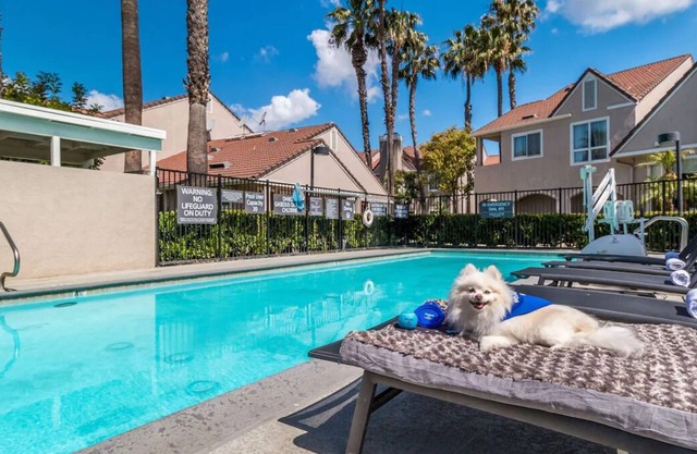 Stay Near Rancho Los Alamitos Historic Ranch & Gardens! w/ Pool & Pets Allowed!