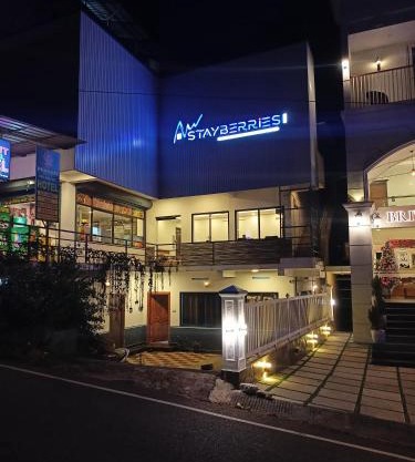 Stayberries Silver Munnar
