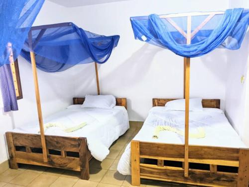 STC Domus Aurea Safaris