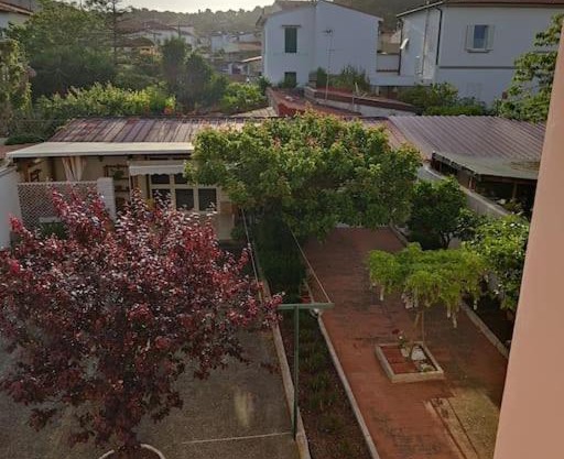 Stella Marina a 100 MT dal mare
