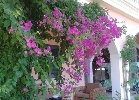 Stella marina residence