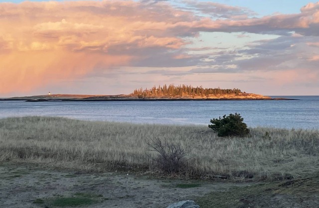 Steps to Popham Beach!