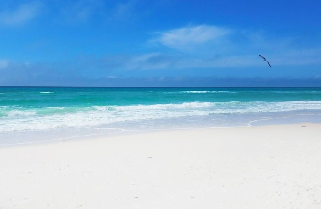 🏖️Steps to the Beach | Free Parking | Community Pool | Seaview Village #8🏖️