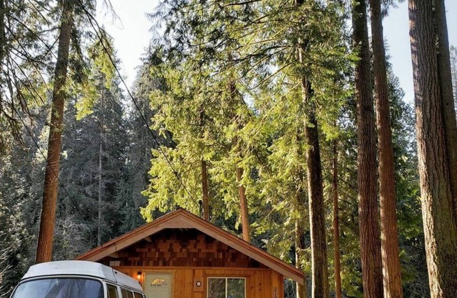 Steven's River Cabin - hot tub-beach-fireplace