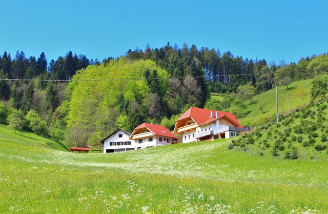 Stinneshof