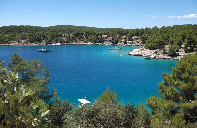 Stone house on Brac with amazing garden and sea view
