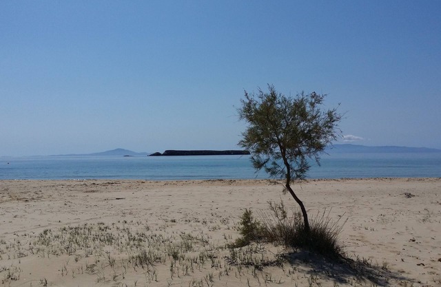 Casa de piedra con vista al mar con un hermoso jardín cerca de una increíble playa de arena