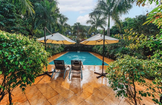 Stone Wood Resort
