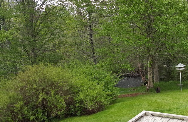 Stoneybrook House - Propiedad histórica en 1. 7 acres de tierra