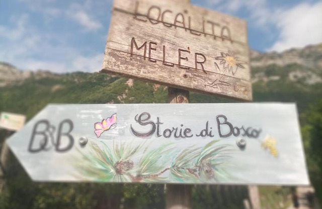 Storie di bosco