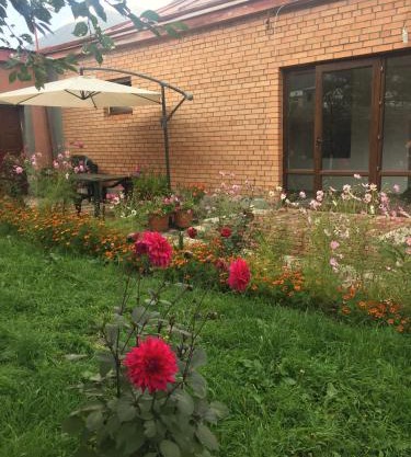 Story Guesthouse