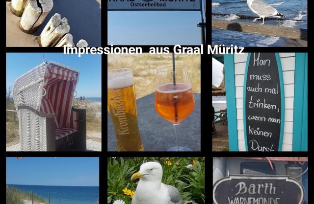 Strandkrabbe