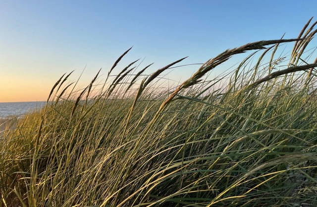 Strandnahe 3-zi.-fewo für 4 Pers. --> Inklusive Bettwäsche und Handtücher <--