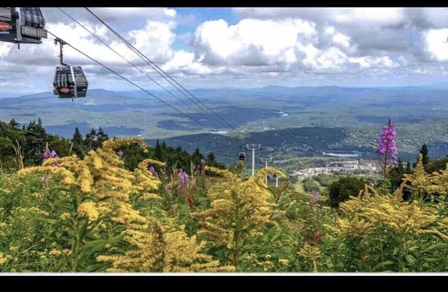 Stratton Ski Inn - Traslado a esquí - Campo de golf - Bañera de hidromasaje