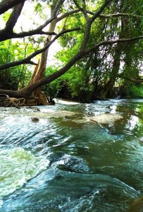 Stream View Family Resort