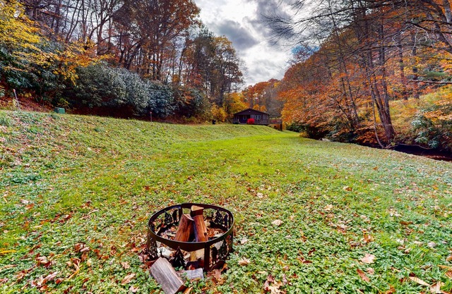 Streamside cottage on +2 acres with large deck, firepit, fireplace, & W/D