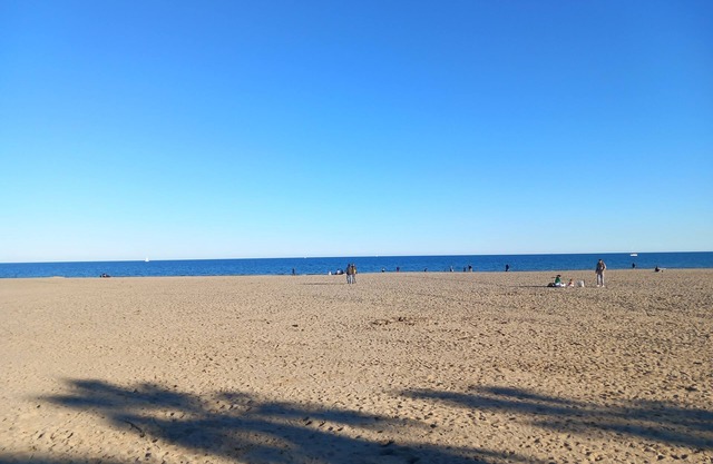 Studio à 40 Mètres de la Plage