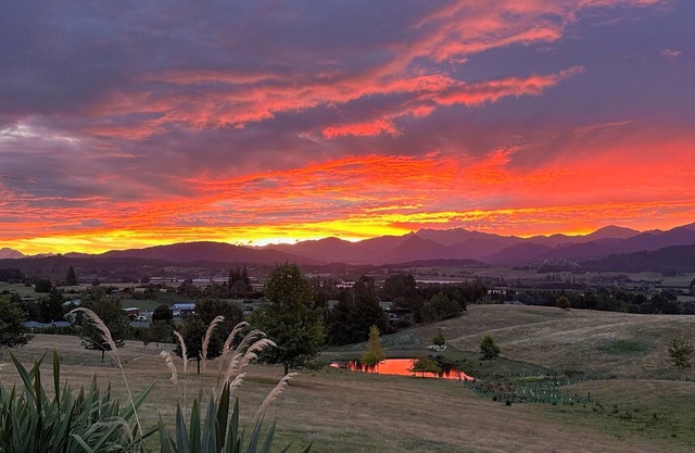 Studio 1, Studio One - Tasman View Accommodation