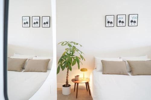 Studio 10/Tenerife