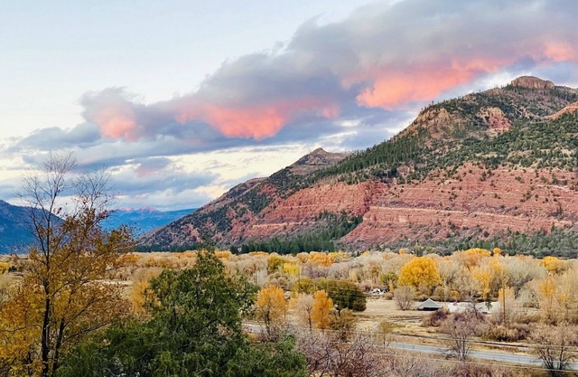 STUDIO 203: AMAZING Mountain Views - 5 Minutes to Downtown Durango! Pet Friendly