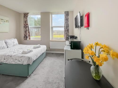 Studio Apartment 6 - Uk48706