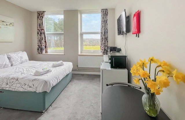 Studio Apartment 9 - UK48709