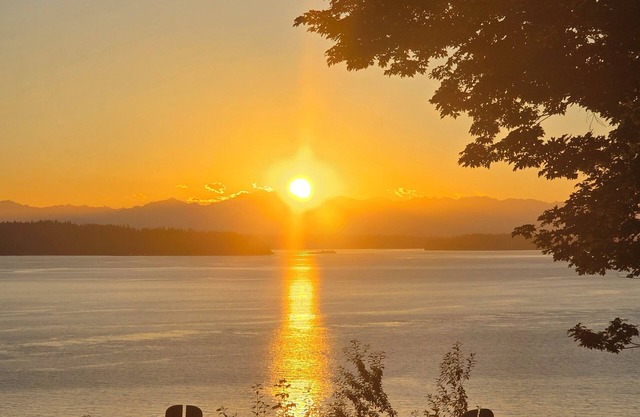 Studio apartment on a forested property in Seahurst w/ access to the Salish Sea