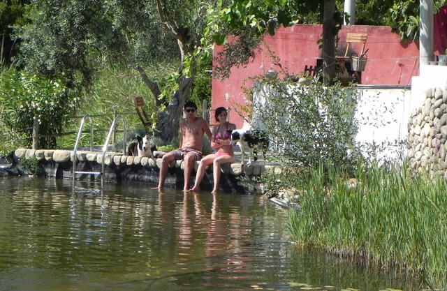 Estudio en una granja orgánica en el acto contemplativo sobre la laguna