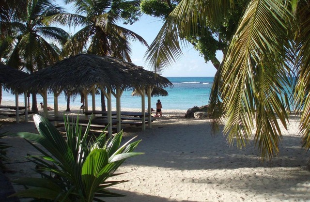 studio creole