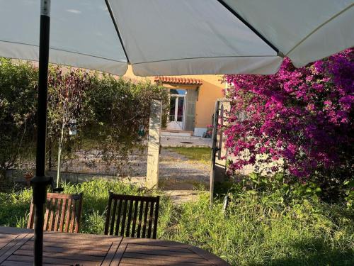 STUDIO dans Villa à Nice Ouest