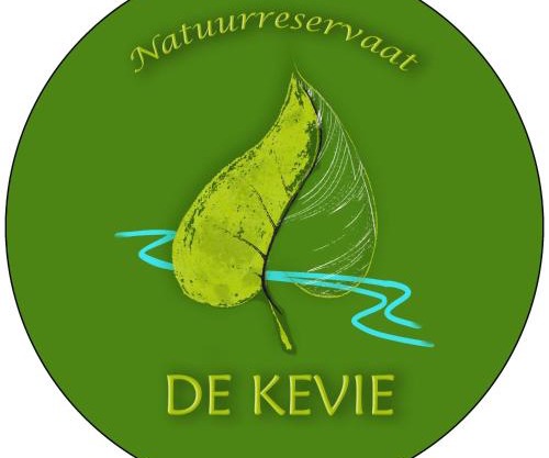 Studio De Kevie