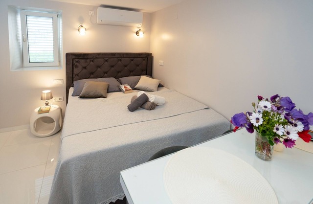 Apartamento-estudio con aire acondicionado Poljana, Ugljan (AS-8419-b)